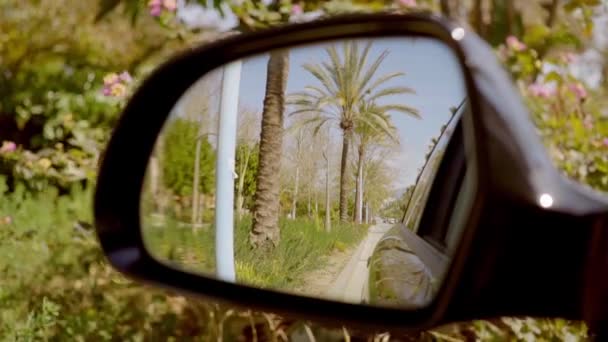 Вид на пальмы и дорогу — стоковое видео
