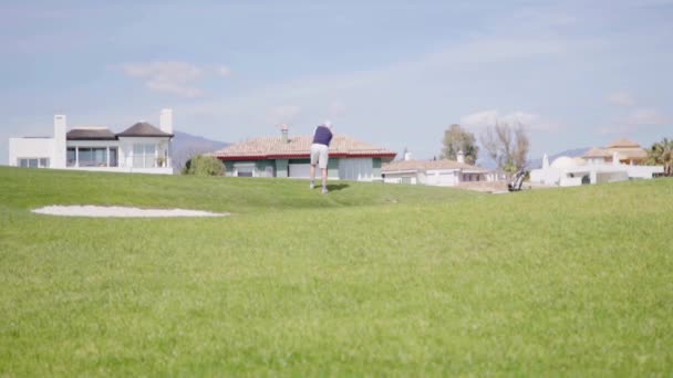 Grüner Golfplatz — Stockvideo