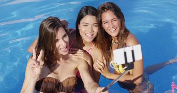 Mujeres jóvenes felices tomando selfie — Vídeo de stock