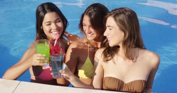 Freunde stoßen mit Cocktails an und feiern — Stockvideo