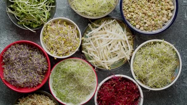 Top view of various kinds microgreens sprouts in colorful bowls. Shoots of radish, cabbage, garlic — Stock Video