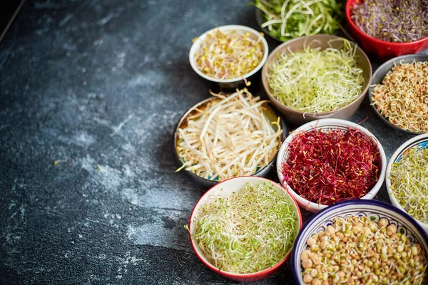 Bovenaanzicht van verschillende soorten microgreens spruit in kleurrijke kommen. Scheuten van radijs, kool, knoflook — Stockfoto