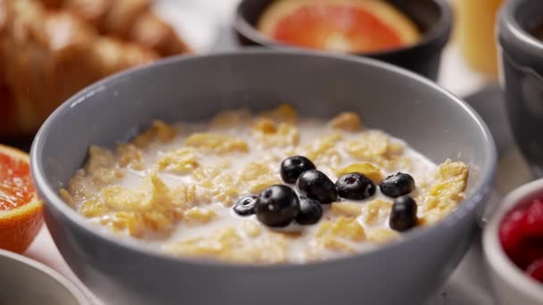 Caer bayas en un tazón de desayuno lleno de hojuelas y leche — Vídeo de stock