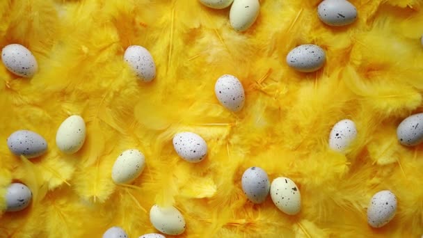 A composição de ovos de Páscoa de pastel está entre de penas amarelas de férias — Vídeo de Stock