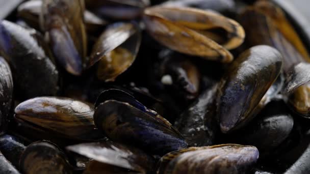 Närbild skott av färska och råa musslor i svart keramik skål placerad på mörker — Stockvideo
