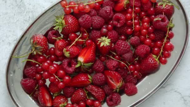 Composição de fruta fresca do verão. Morangos, groselhas vermelhas, framboesas colocadas em bandeja de metal — Vídeo de Stock