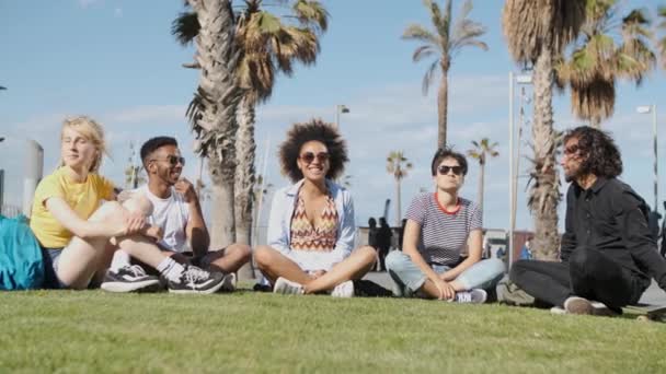 Охолоджуючі молоді друзі на літньому газоні — стокове відео