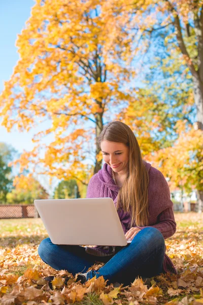 Mulher bonita trabalhando ao ar livre em um parque de outono — Fotografia de Stock
