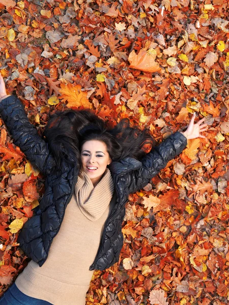 Belleza durante el otoño —  Fotos de Stock