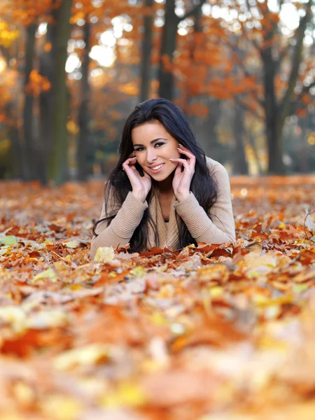 Beauty during autumn — Stock Photo, Image