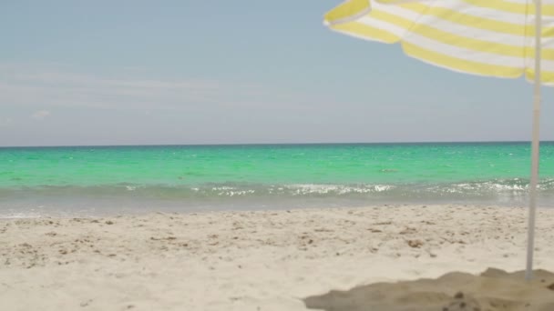 Strand paraply på en solig tropisk strand — Stockvideo
