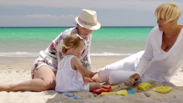 Família pequena se divertindo — Vídeo de Stock