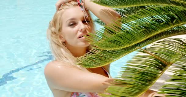 Mulher sensual na piscina ao lado das folhas de palma — Vídeo de Stock