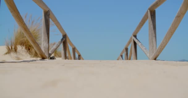 Puente de playa vacío — Vídeo de stock