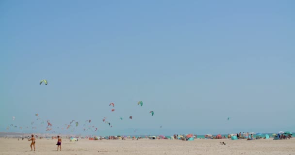 Playa llena de gente con cometas surfistas — Vídeo de stock