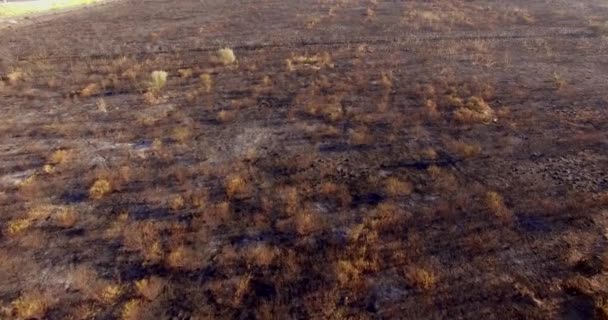 Fältet efter brand i spanska Andalusien — Stockvideo
