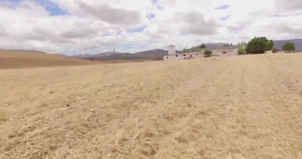 Campo de maíz en Andalucía española — Vídeo de stock