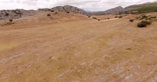 Campo seco de hierba en las montañas — Vídeo de stock