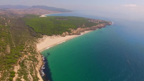 Видовищний повітряний політ над пляжем — стокове відео