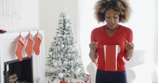 Mulher segurando presente de Natal — Vídeo de Stock