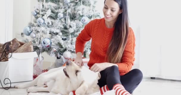 Mujer riendo con perro — Vídeos de Stock