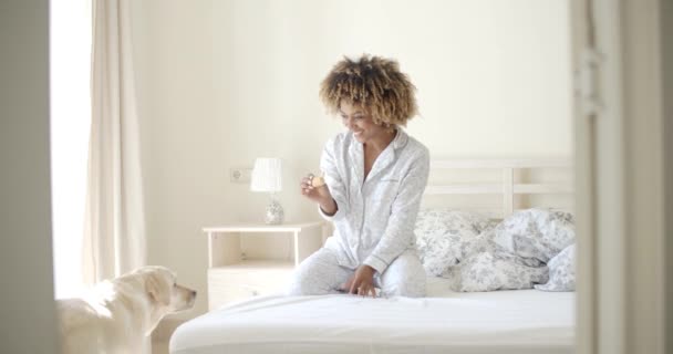 Mujer jugando con perro en la cama — Vídeos de Stock