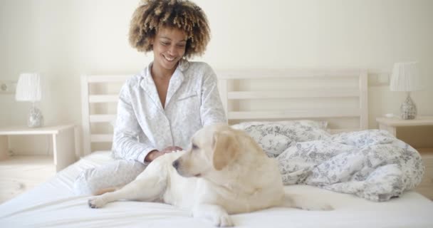 Woman and dog resting in bed — Stock Video