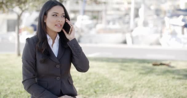 Ung affärskvinna talar hennes telefon — Stockvideo