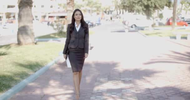 Mujer de negocios caminando por la calle — Vídeos de Stock