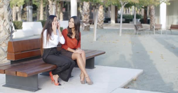 Mujeres de negocios charlando en la plaza urbana — Vídeos de Stock