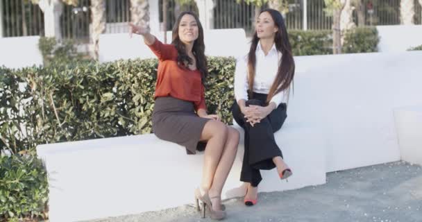 Δύο επιχειρηματικές γυναίκες χαλάρωσης και έχοντας chat — Αρχείο Βίντεο