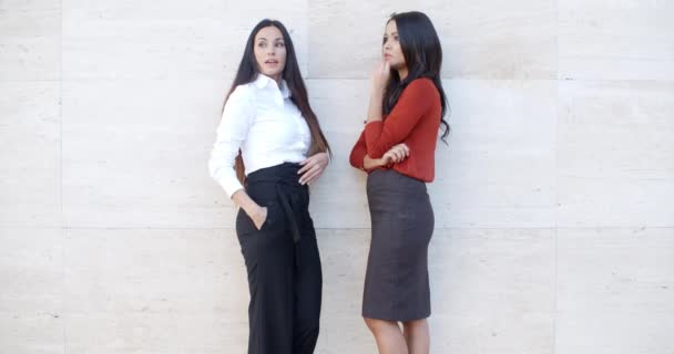 Businesswomen standing and chatting — Stock Video