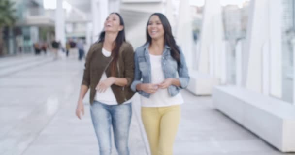 Frauen schlendern die Promenade entlang — Stockvideo