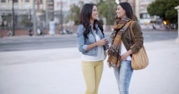 Vrouwen buitenshuis chatten in de stad — Stockvideo