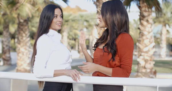 Businesswomen in urban park chatting and smiling — Stockfoto