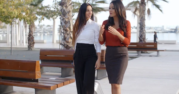 Businesswomen walking and chatting in urban park — Stockfoto