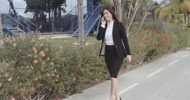 Бізнес-леді, що йде вулицею і спілкується — стокове відео