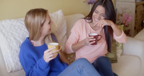 Women enjoying relaxing coffee on sofa — Stockvideo