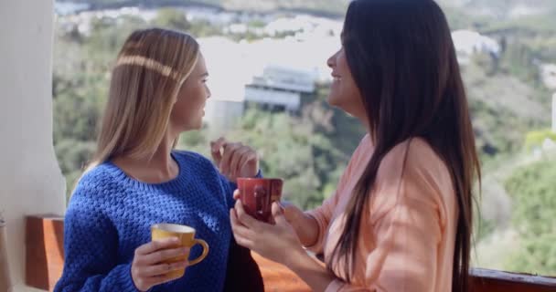 Women having friendly chat — Stok video