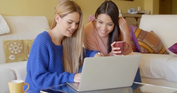 Women browsing internet on laptop at home — Stok video