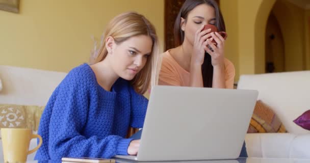 Women browsing internet on laptop at home — Stok video