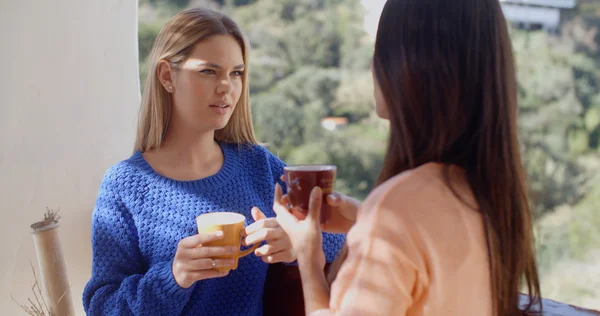 Women having friendly chat together — Stockfoto