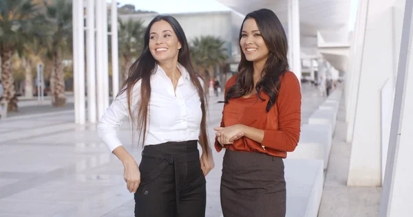 Businesswomen chatting together on urban promenade — Stock Photo, Image