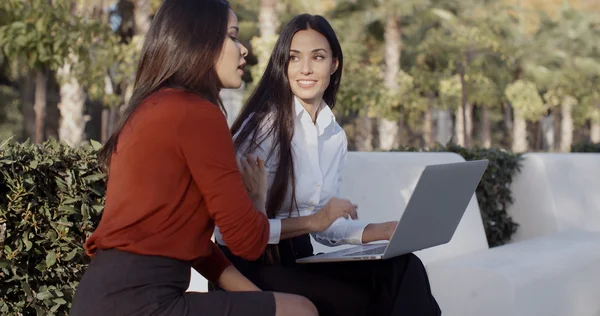 Businesswomen having an informal meeting — Stock Photo, Image