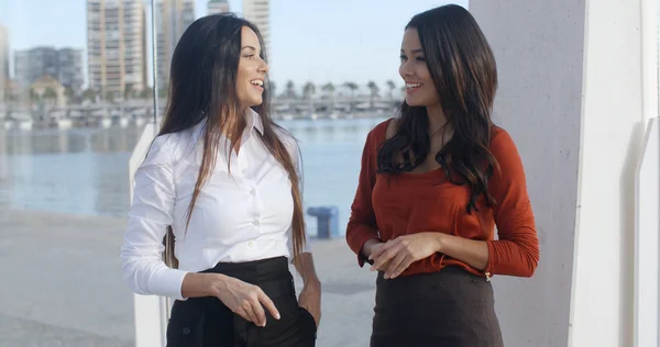 Vrouwelijke ondernemers chatten op waterfront promenade — Stockfoto