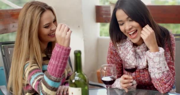 Vrouwen drinken van wijn op restaurant van de stad — Stockvideo