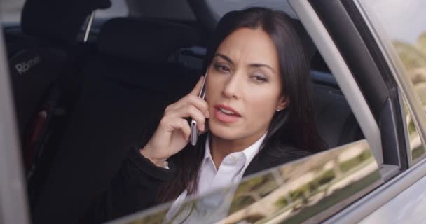 Donna d'affari che parla al telefono in limousine — Video Stock