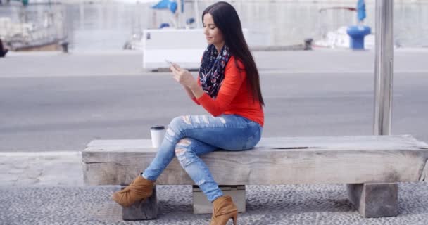 Frau sitzt auf Bank und benutzt Handy — Stockvideo