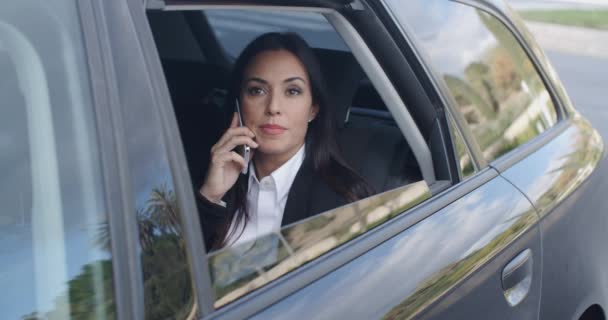 Businesswoman talking on phone in limousine — Stock Video