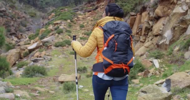 Woman on hiking trail in mountains — Stockvideo